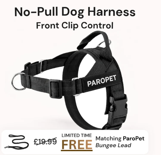 Front-Clip No Pull Dog Harness