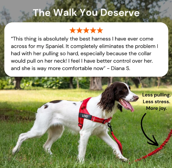 Front-Clip No Pull Dog Harness