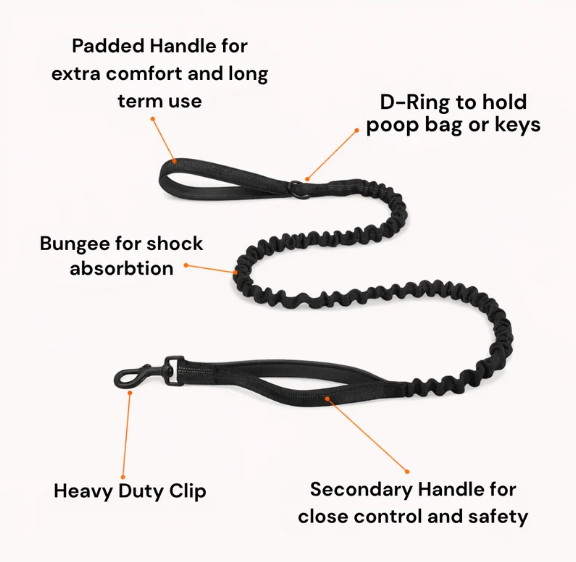 Front-Clip No Pull Dog Harness